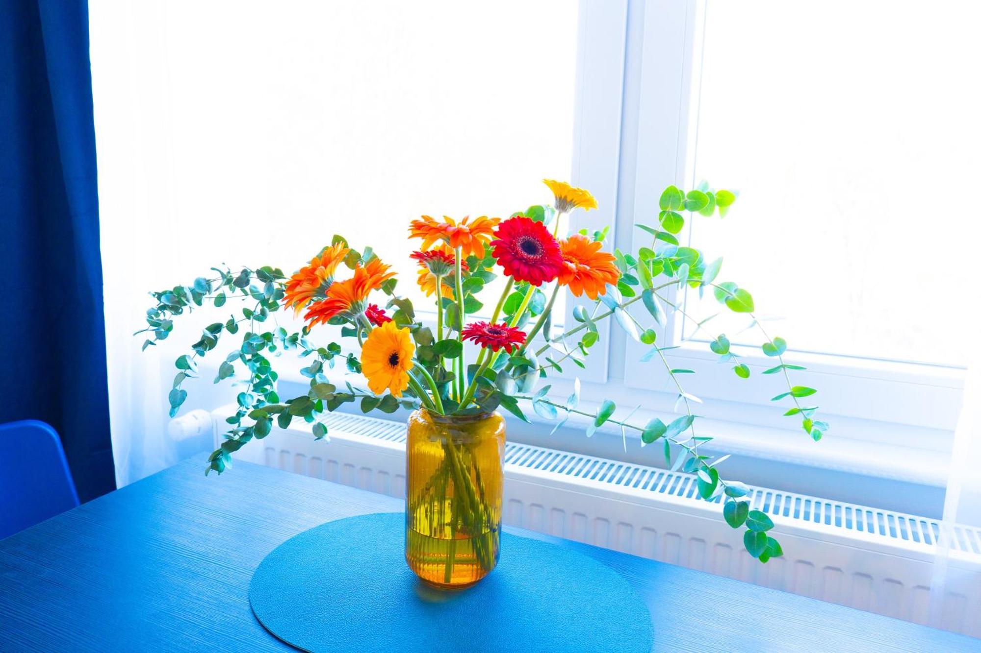 Betterbeds Gelsenkirchen Apartment Bagian luar foto
